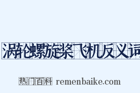 涡轮螺旋桨飞机反义词是什么意思的图片